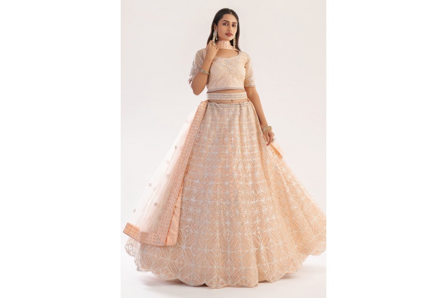 Peach Net Circular Lehenga Choli